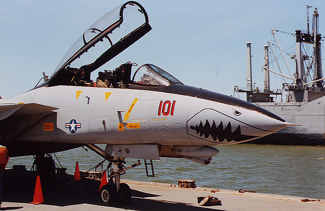 F-14A_06.jpg - Manufactured by Grumman who were famous for their "CATS": F4F Wildcat, F6F Hellcat, F7F Tigercat, F8F Bearcat, F9F Panther, F9F Cougar, F11F/F-11 Tiger and F-14 Tomcat